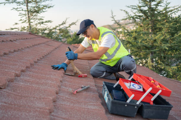 Best Flat Roof Repair Services  in Davenport, IA