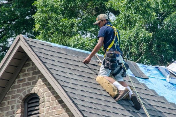 Best Roof Restoration Services  in Davenport, IA